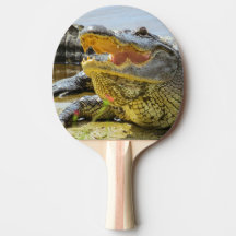 Retrato de lagarto. Ligadores de Florida