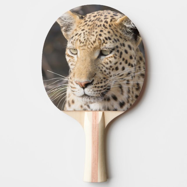 Pala De Ping Pong Retrato de leopardo (Anverso)