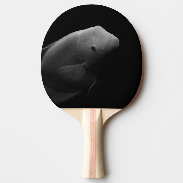 Pala De Ping Pong Retrato de peces (Anverso)