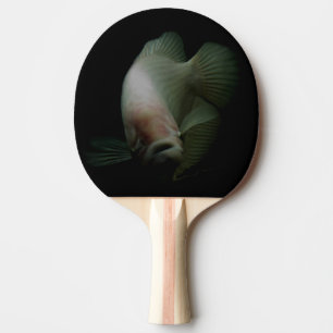 Pala De Ping Pong Retrato de peces