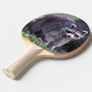 Pala De Ping Pong Rocky el mapache