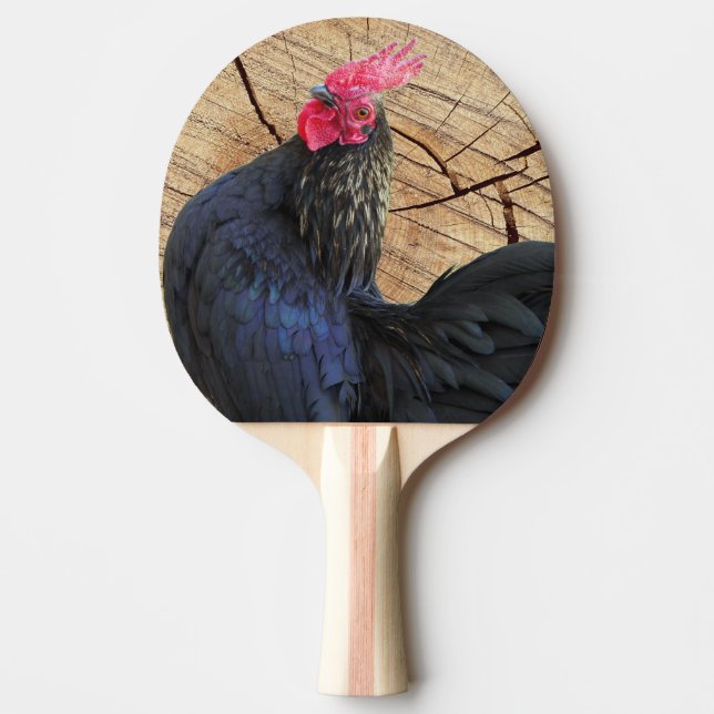 Pala De Ping Pong Rooster negro (Anverso)