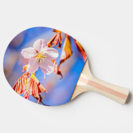 Pala De Ping Pong Rosa Sakura Flower Blue Sky