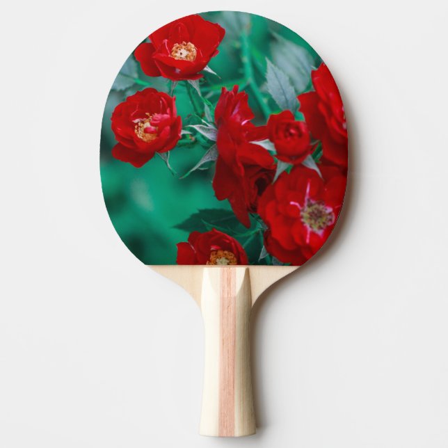 Pala De Ping Pong Rosas rojas hojas verdes pálidas (Anverso)