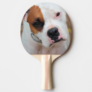 Pala De Ping Pong Salto