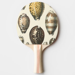 Pala De Ping Pong Seashells únicamente formados
