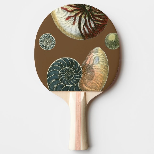 Pala De Ping Pong Shell de cacao (Anverso)