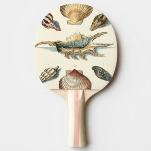 Pala De Ping Pong Shell de lujo vara