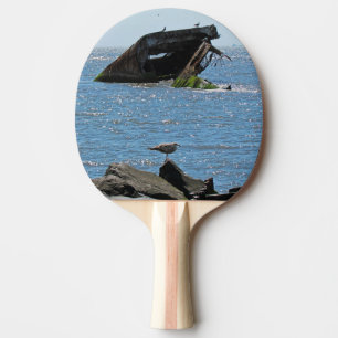 Pala De Ping Pong Shipwreck de Cape May