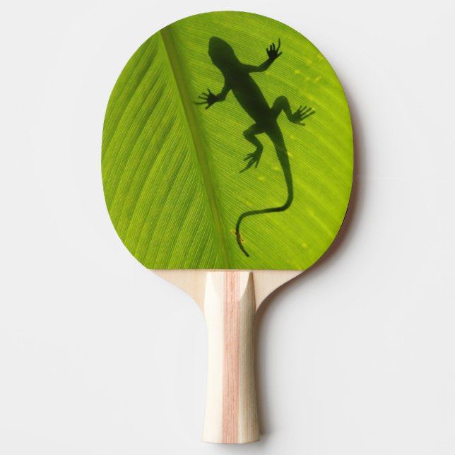 Pala De Ping Pong Silueta del Gecko (Anverso)