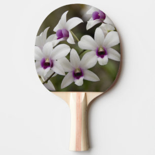 Pala De Ping Pong Singapur (sánscrito para Ciudad León). Nacional 2