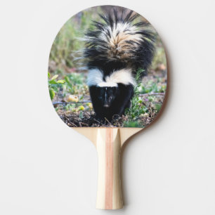 Pala De Ping Pong Skunk Black and White