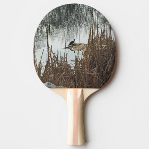 Pala De Ping Pong Solsticio de invierno