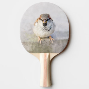 Pala De Ping Pong Sparrow - El guerrero