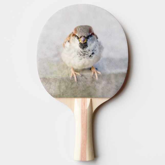 Pala De Ping Pong Sparrow - El guerrero (Reverso)