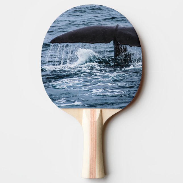 Pala De Ping Pong Sperm Whale (Reverso)