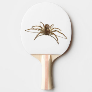 Pala De Ping Pong Spider