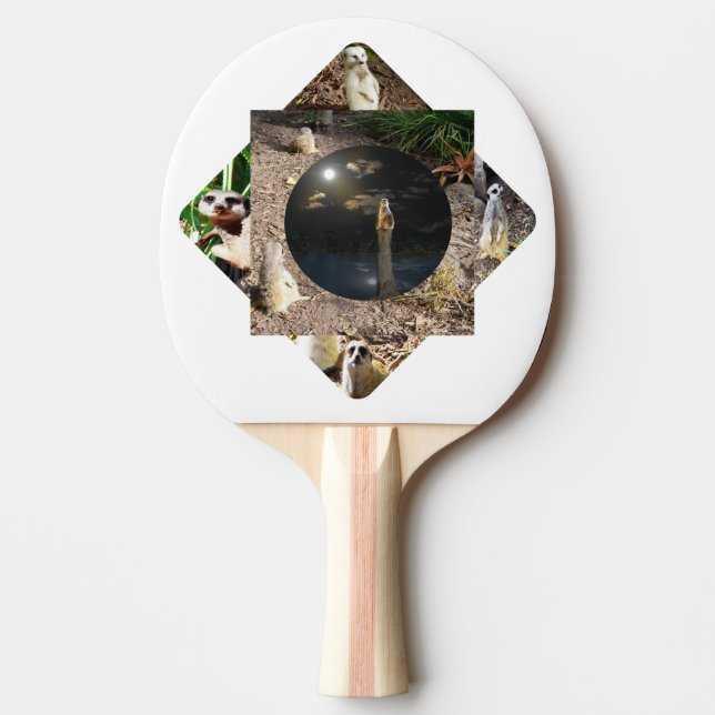 Pala De Ping Pong Suricata Polyscope,  (Anverso)