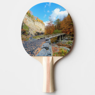 Pala De Ping Pong Taughannock baja parque de estado