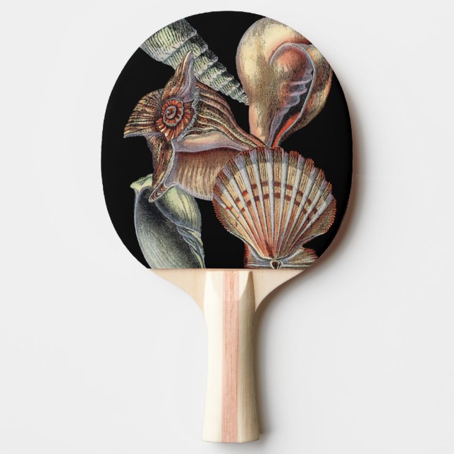 Pala De Ping Pong Tesoros del mar (Anverso)