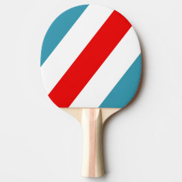 Pala De Ping Pong Thunderbird Negrita Rayada