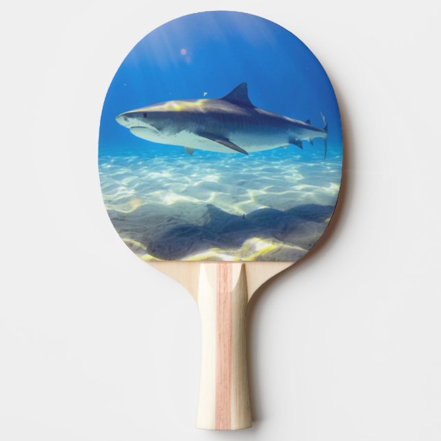 Pala De Ping Pong Tiburón nadando Agua del Océano Azul (Anverso)