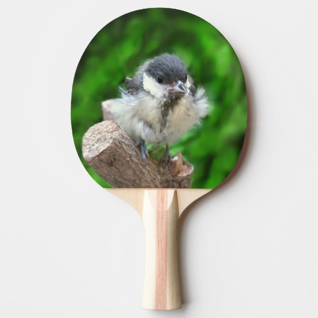 Pala De Ping Pong Tidi my Bird the Parus Major (Anverso)
