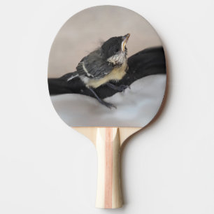 Pala De Ping Pong Tidi my Bird the Parus Major