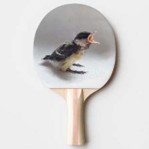 Pala De Ping Pong Tidi my Bird the Parus Major