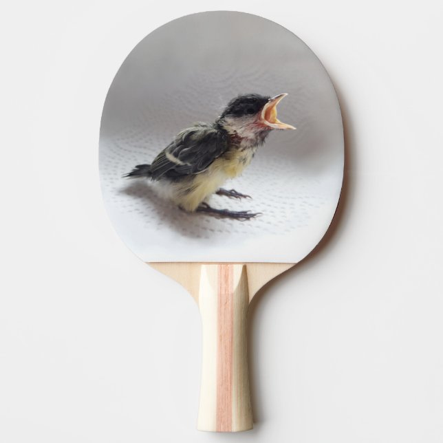 Pala De Ping Pong Tidi my Bird the Parus Major (Anverso)
