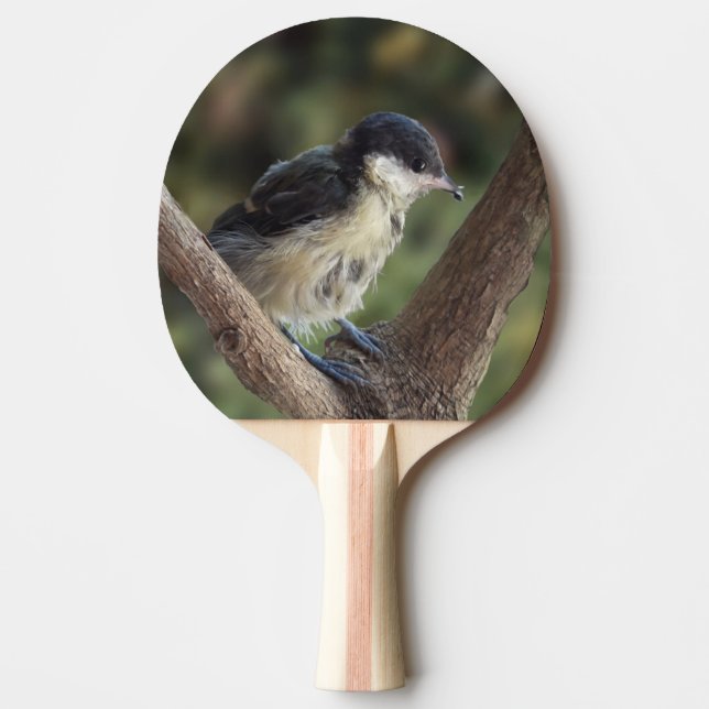 Pala De Ping Pong Tidi my Bird the Parus Major (Anverso)