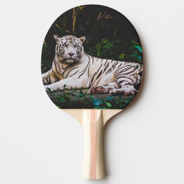 Pala De Ping Pong Tigre (Anverso)