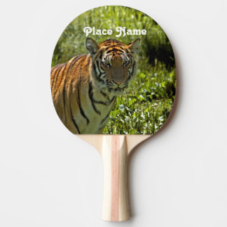 Pala De Ping Pong Tigre surcoreano