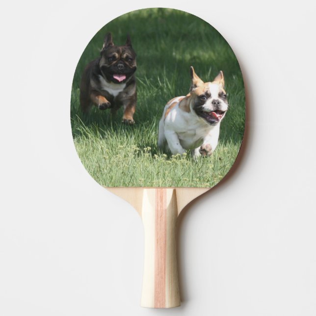 Pala De Ping Pong Tischtennisschläger Französische Bulldogge Tischte (Anverso)