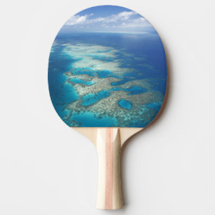 Pala De Ping Pong Tongue Reef, Parque Marino de la Gran Barrera de C
