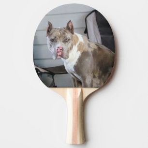 Pala De Ping Pong Toro de Pitt