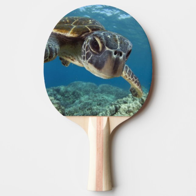 Pala De Ping Pong Tortuga de mar verde hawaiana (Anverso)