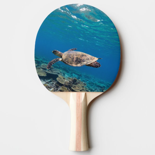 Pala De Ping Pong Tortuga marina (Reverso)