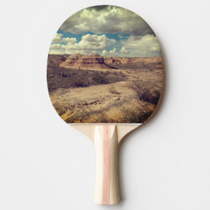 Pala De Ping Pong Tren Backroads Suroeste Americano