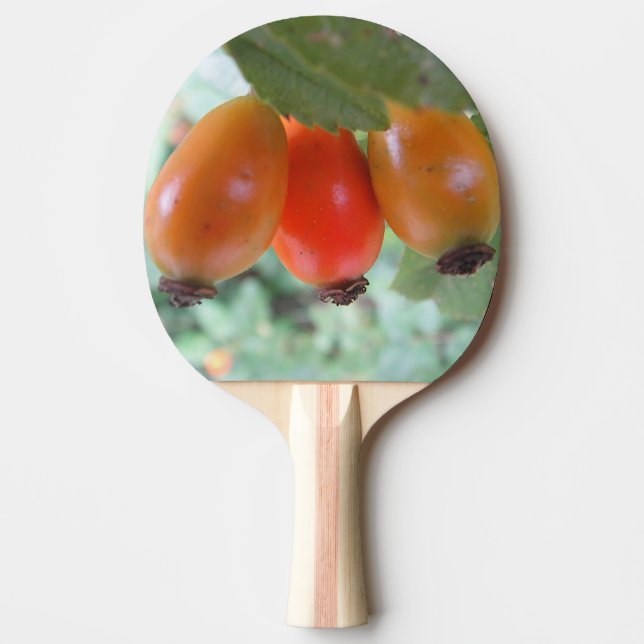 Pala De Ping Pong Tres escaramujos naranjas (Anverso)
