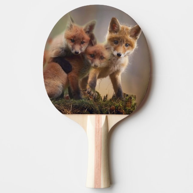 Pala De Ping Pong Trillizos Foxy (Anverso)