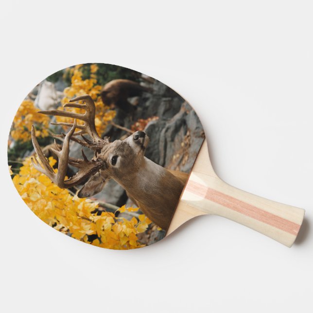 Pala De Ping Pong Trophy Deer (Lateral)