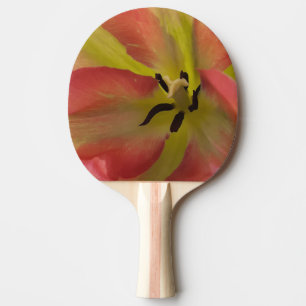 Pala De Ping Pong Tulipán rosa y amarillo