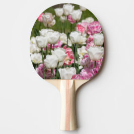 Pala De Ping Pong Tulipanes blancos y rosados brillantes en un día s