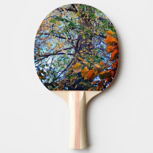Pala De Ping Pong Un cambio en las hojas