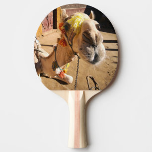 Pala De Ping Pong Un camello amistoso espera a su próximo jinete, El