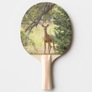 Pala De Ping Pong Un ciervo solitario