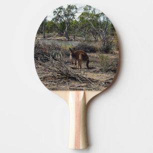 Pala De Ping Pong Un momento tranquilo: el canguro australiano en Bi