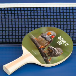 Pala De Ping Pong Un par de pájaros melindrosos de cebra finch