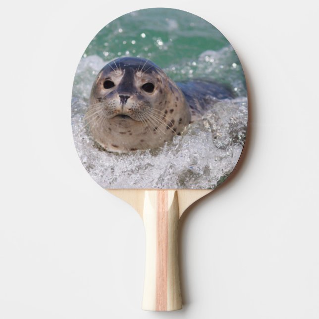Pala De Ping Pong Una cría de foca surfeando (Anverso)